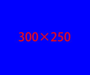 300 × 250
